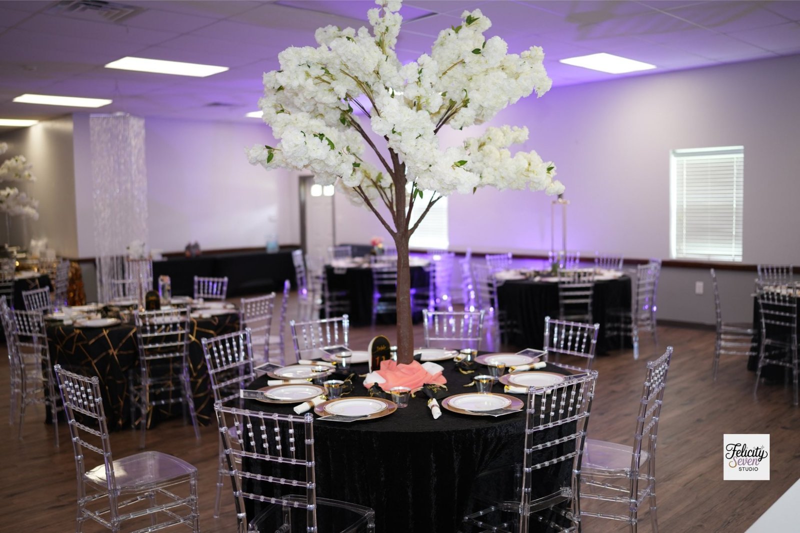 Felicity Seven Studio Interior